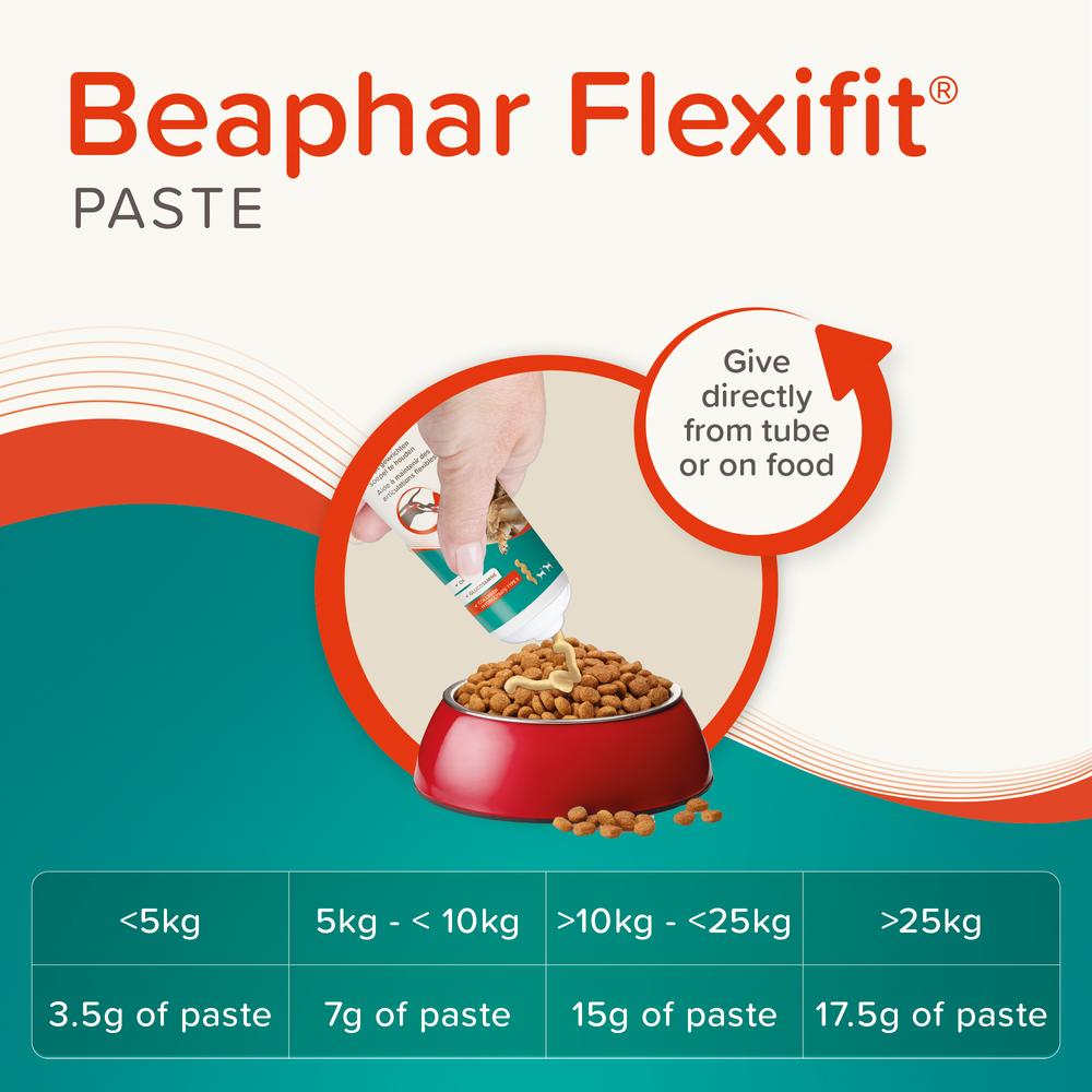 Beaphar Flexifit Joint Care Cat & Dog Paste 250g