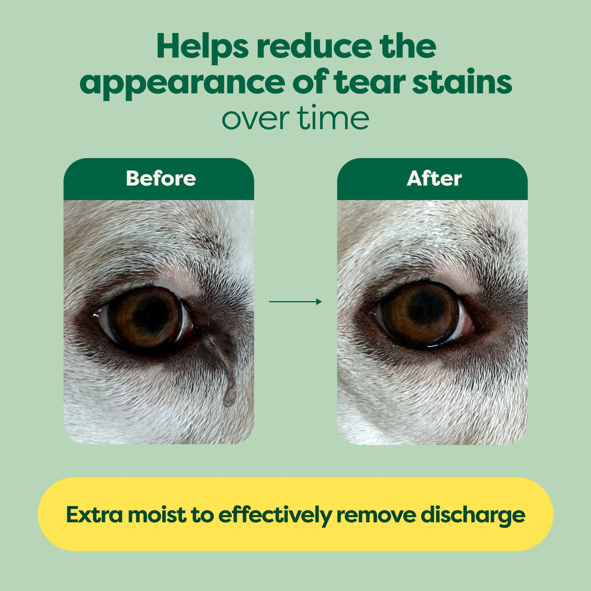 Earth Rated Dog Eye Wipes – Fragrance Free – 70 Pack