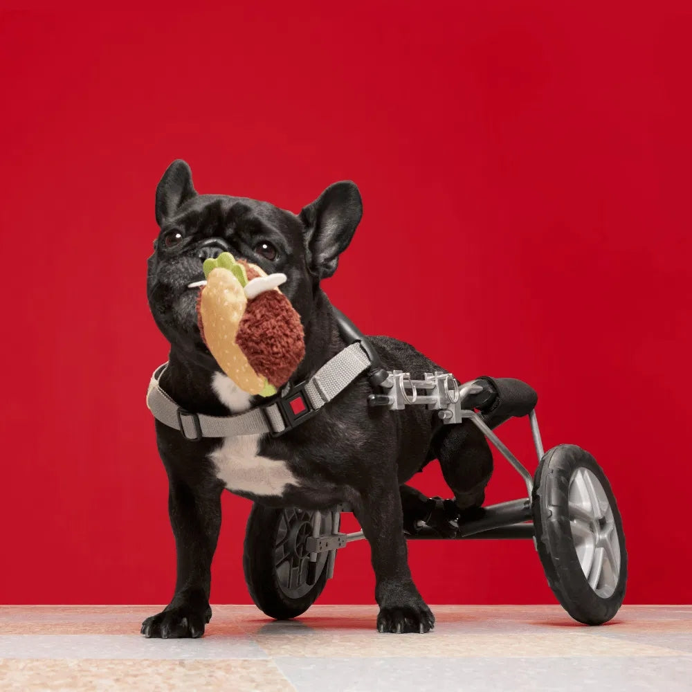 BARK Turkey Barker Super Chewer Dog Toy