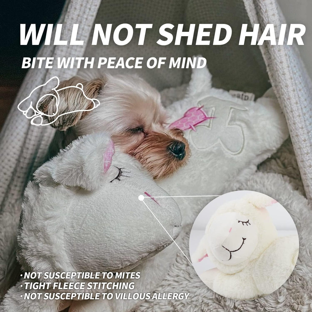 All For Paws Little Buddy Heart Beat Sheep