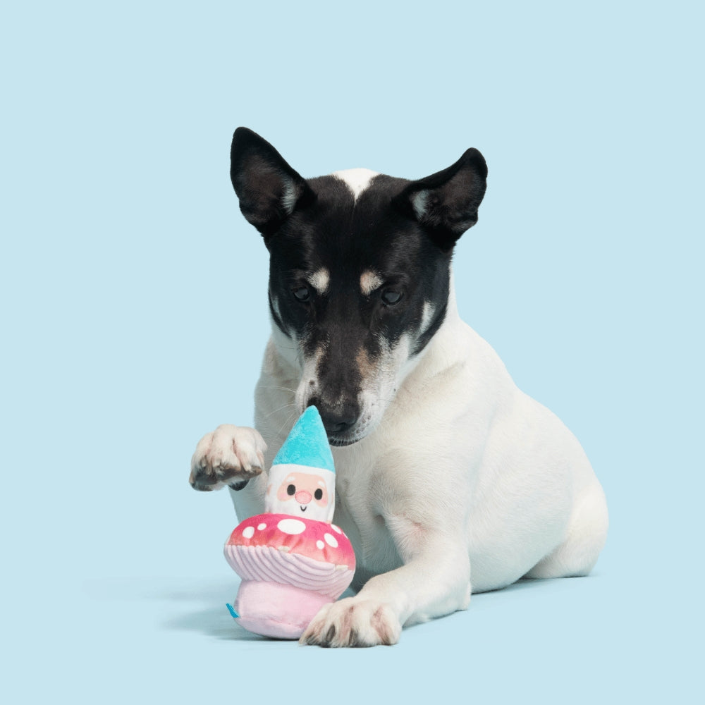 BARK Fun Guy Gnomie Homie Backyard Garden Dog Toy