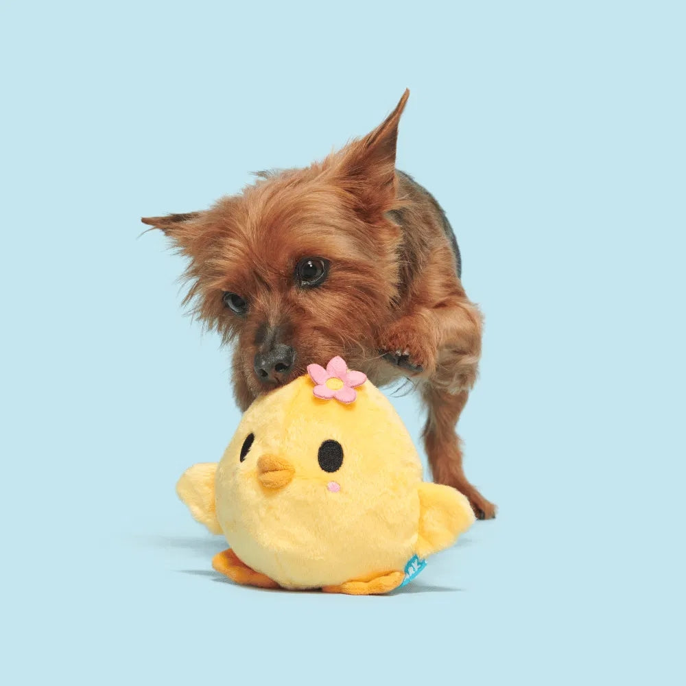 BARK Lil’ Hennifer Backyard Garden Dog Toy