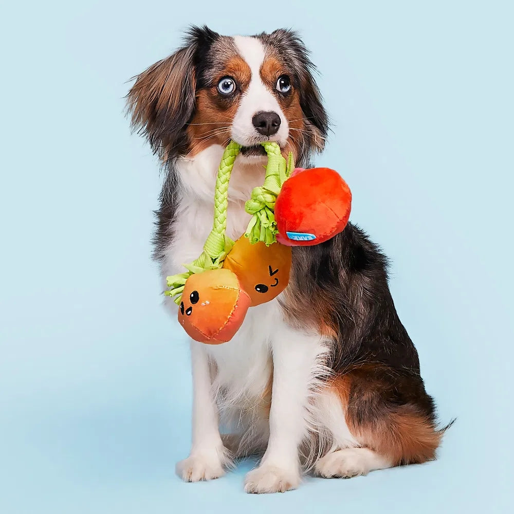 BARK Hairloom Tomatoes Plush Rope Dog Toy