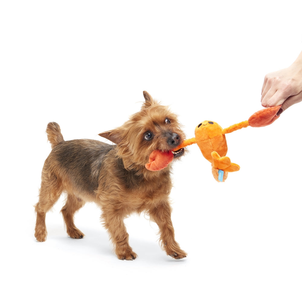 BARK Della Crawfish Plush Dog Toy