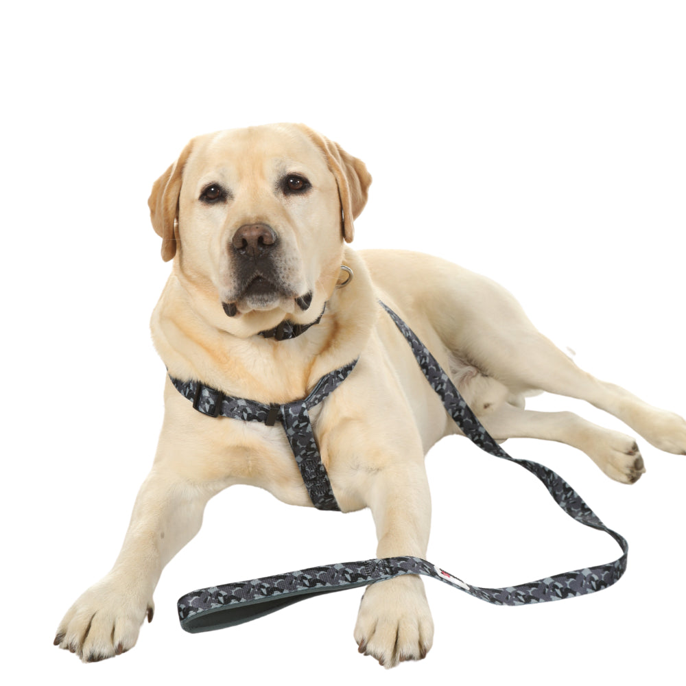 Doodlebone Originals Dog Lead 1.2m Ruby 3 Sizes