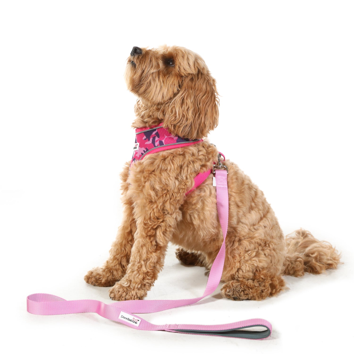 Doodlebone Originals Dog Lead 1.2m Violet 3 Sizes