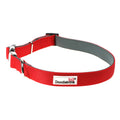Doodlebone Originals Padded Dog Collar Ruby 3 Sizes