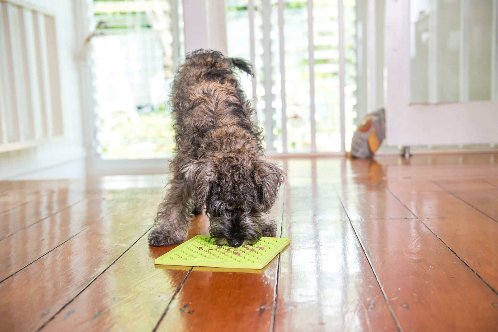 LickiMat Dog Lick Mats Slow Feeders Classic Buddy 10 Colours