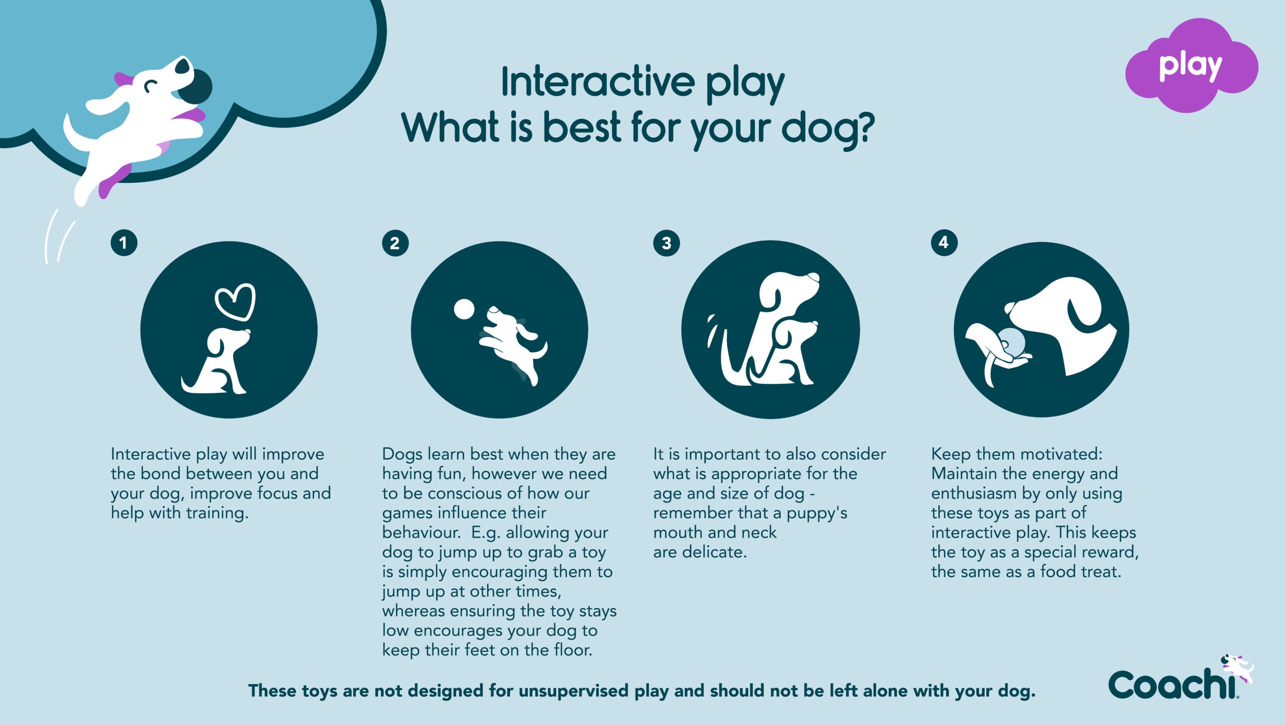 Coachi Tuggi Hide Navy Lime & Light Blue Training Toy