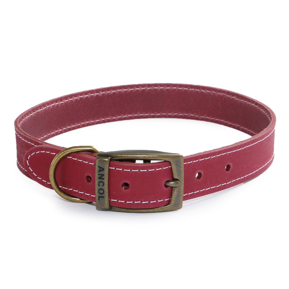 Ancol Timberwolf Leather Collars Raspberry 8 Sizes