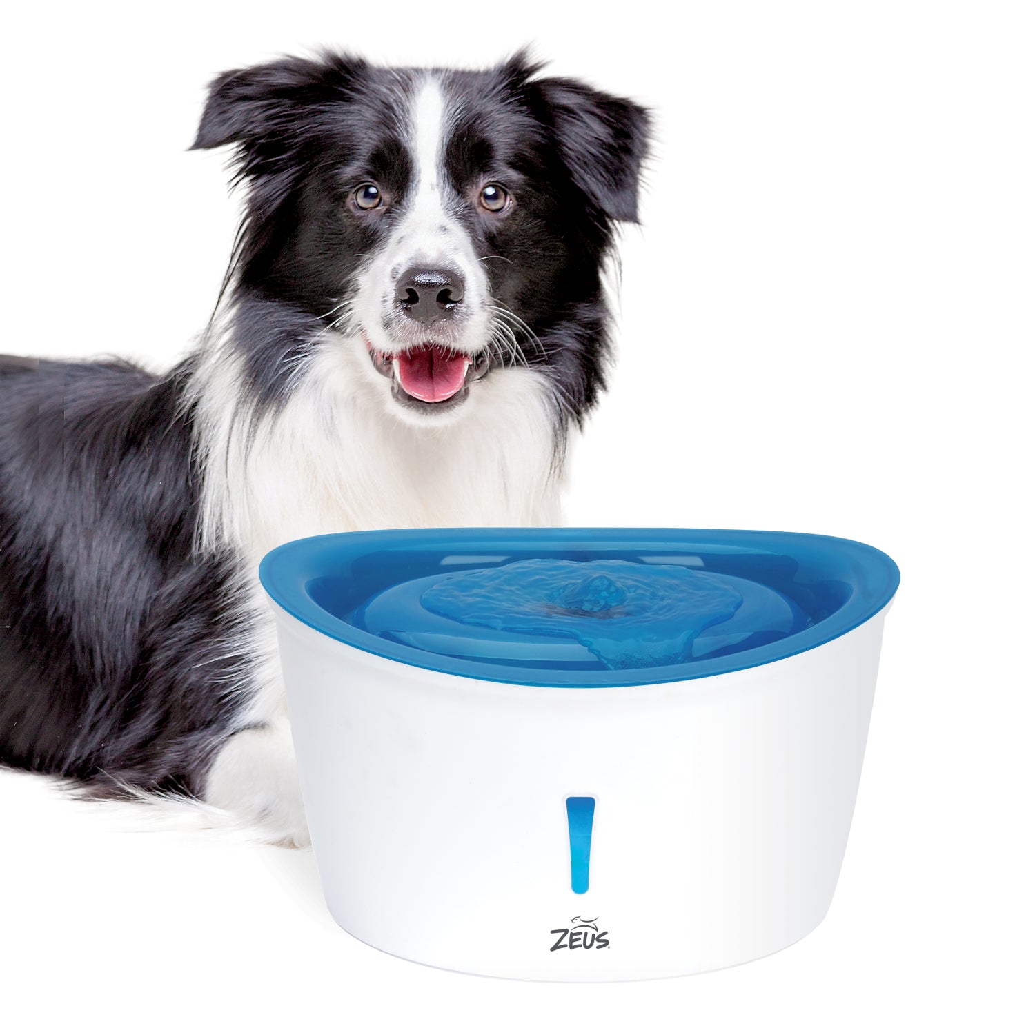 Zeus H2EAU Dog Drinking Fountain 6L