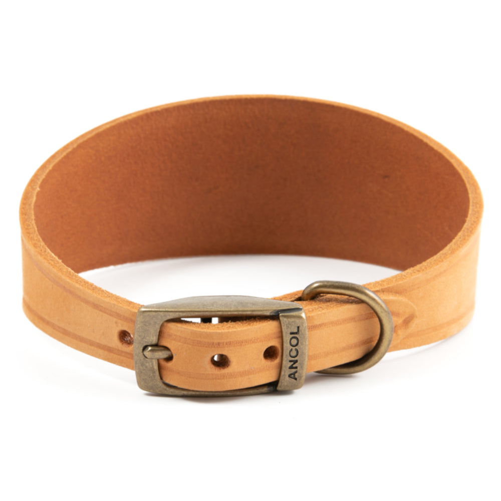 Ancol Timberwolf Greyhound & Whippet Leather Collars Mustard 2 Sizes