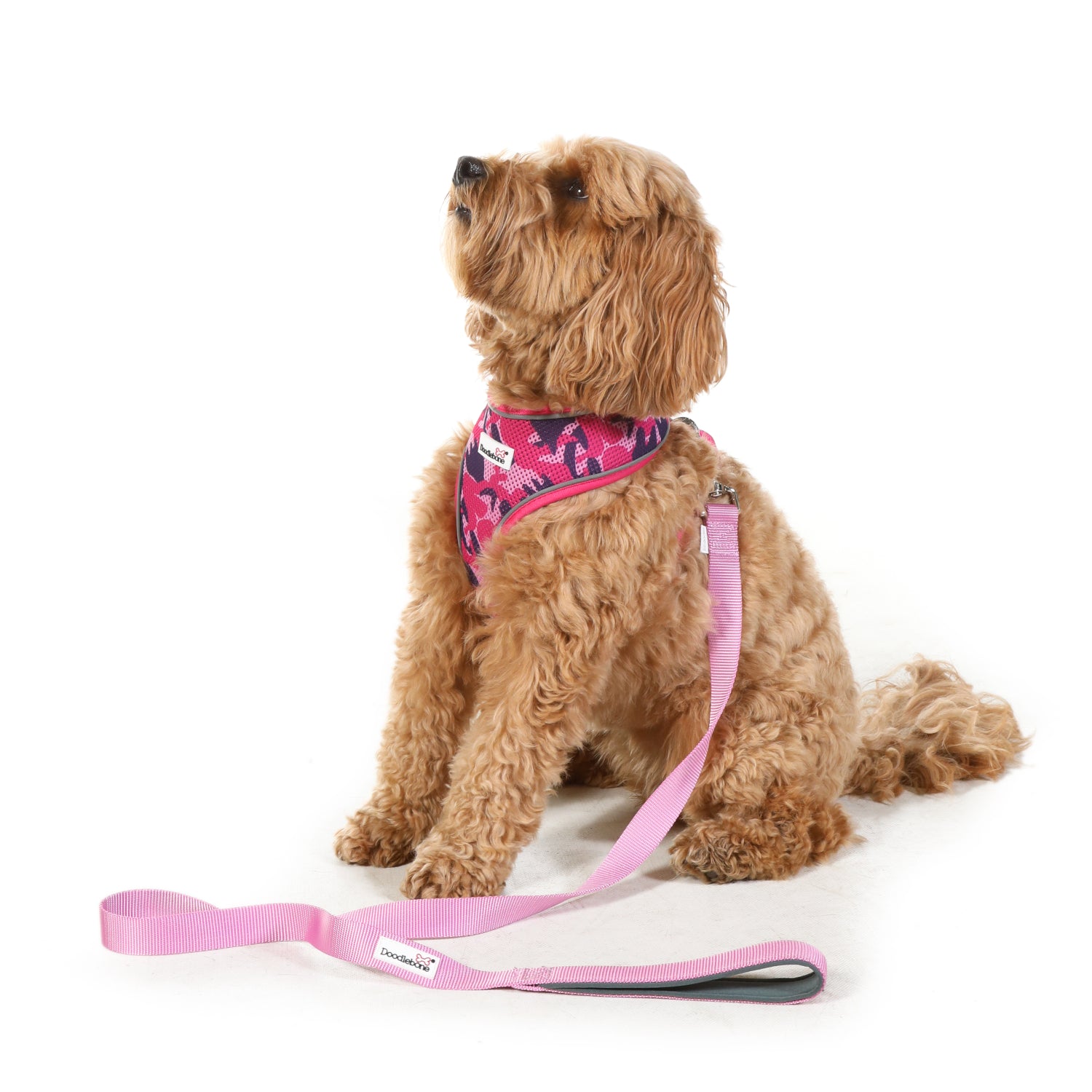 Doodlebone Originals Dog Lead 1.2m Ruby 3 Sizes